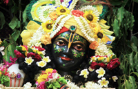 Agrawal Tours and Travel best travels agency in mathura